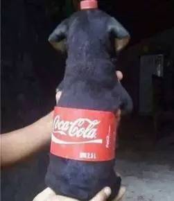 皮肤黑是一种什么感觉,脸很黑是什么体验