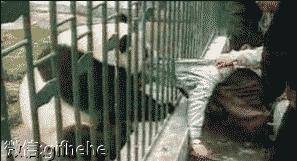 逗比搞笑：厂里刚来了一漂亮妹子，我和同事打赌谁先能让那妹子说喜欢你，输了请吃饭