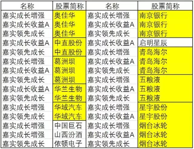 嘉实成长收益基金的投资策略详解,嘉实成长基金