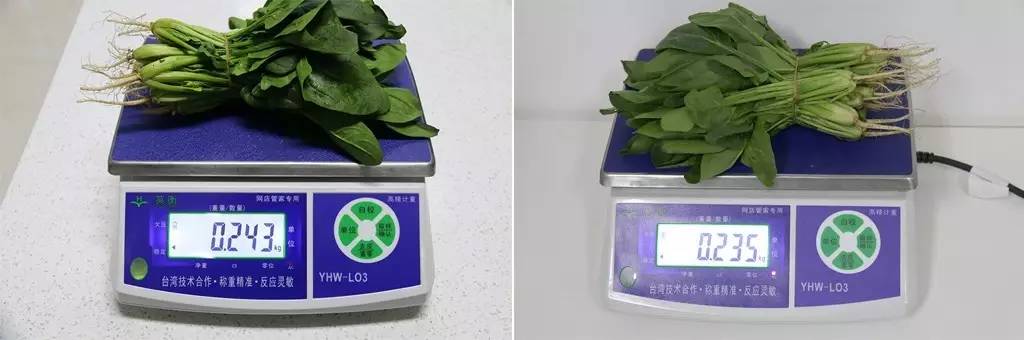 各品牌冰箱多门推荐,万宝冰箱双开门价格表