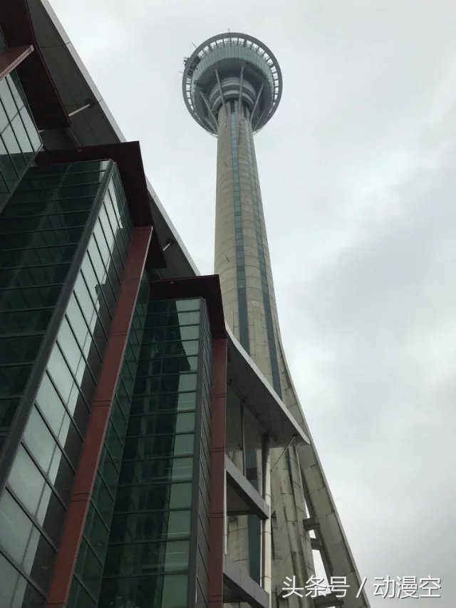 假期去香港澳门玩,近期旅游香港澳门之旅