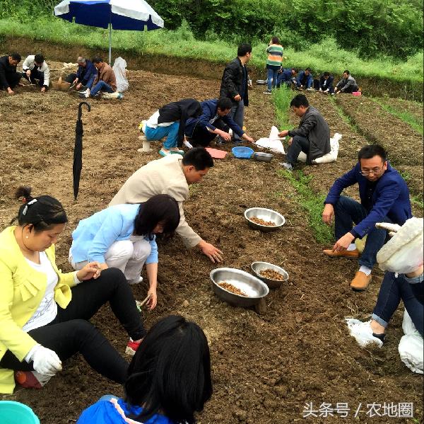 土地会增长吗,土地会带来房价吗