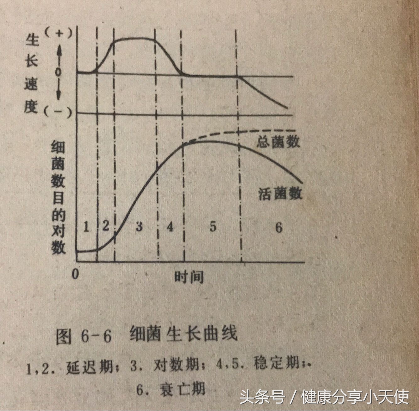 从细菌的生长规律探讨胃肠道——微生态平衡调整