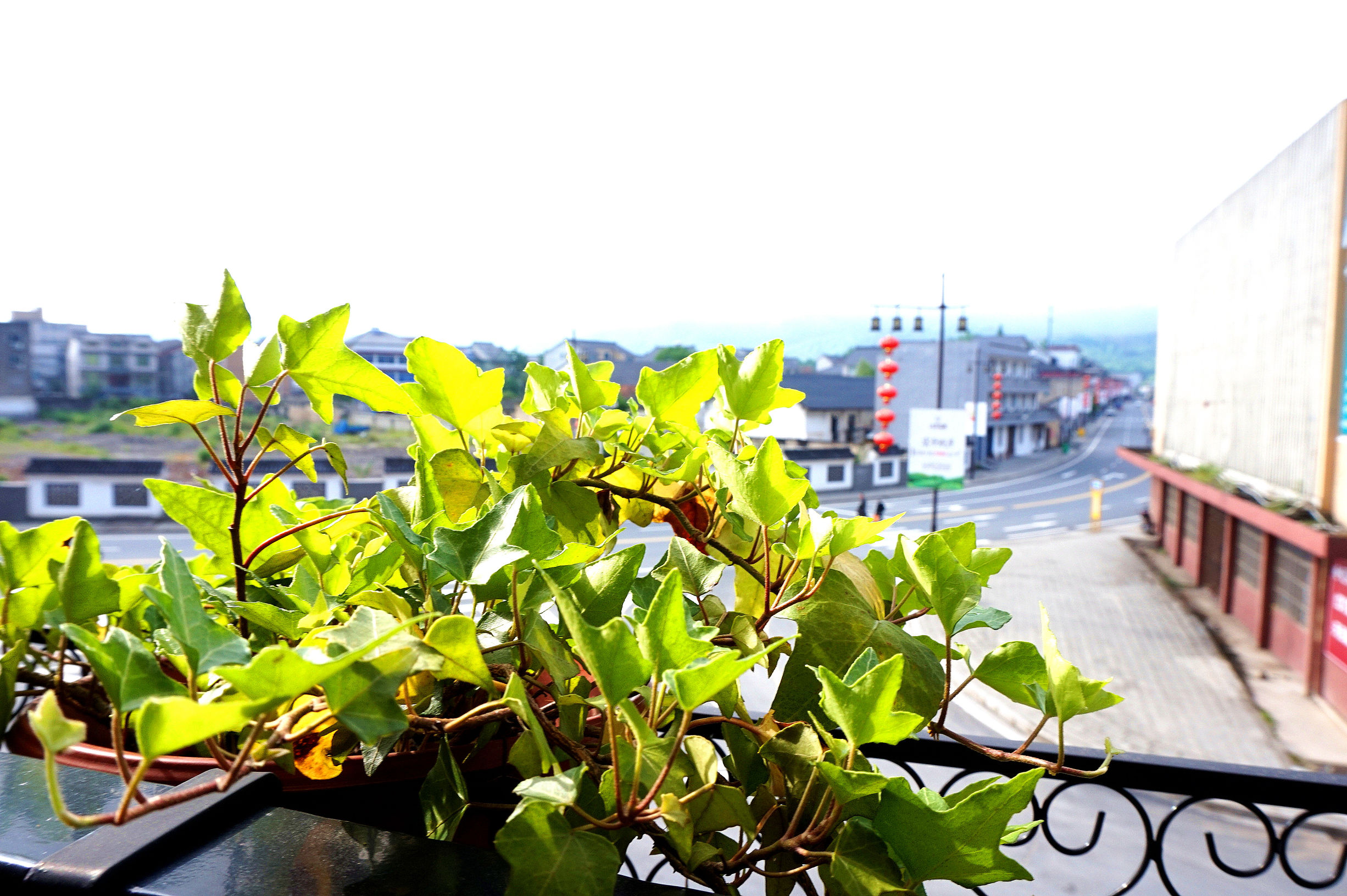 返璞归真原唱歌曲,返璞归真原唱完整版