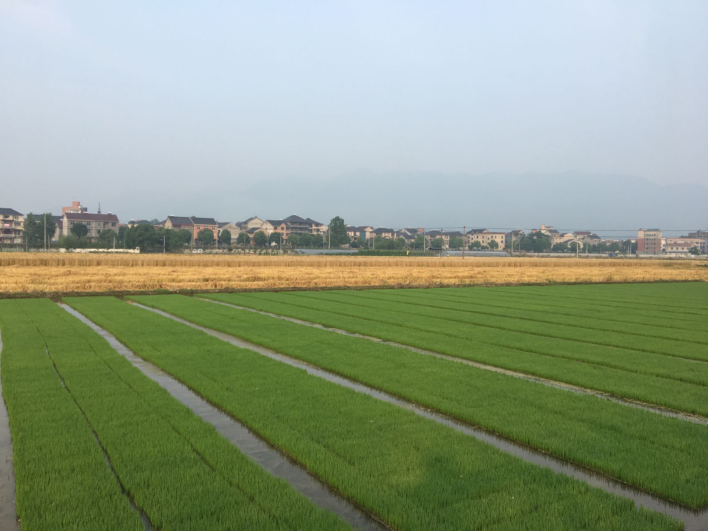 返璞归真原唱歌曲,返璞归真原唱完整版