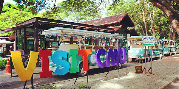 第一次来泰国不知道这5件事,第一次去旅游不知道去哪里好