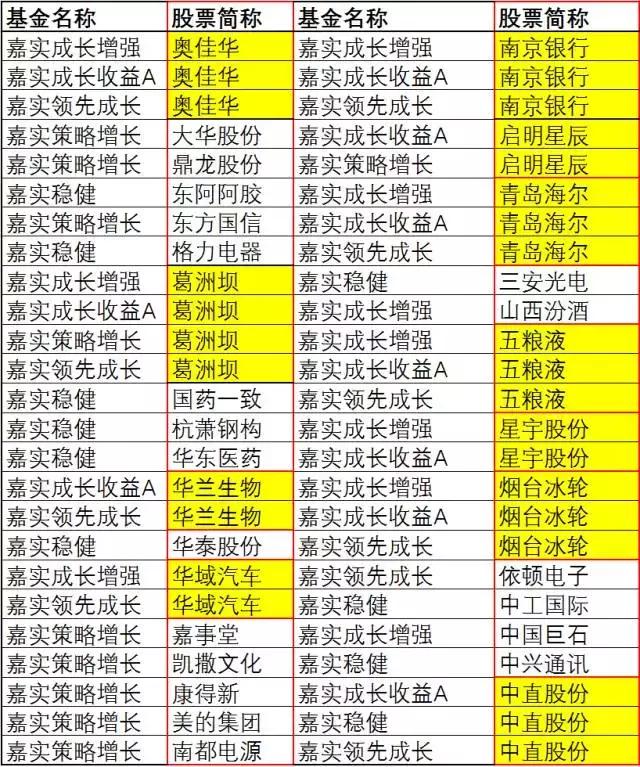 嘉实成长收益基金的投资策略详解,嘉实成长基金