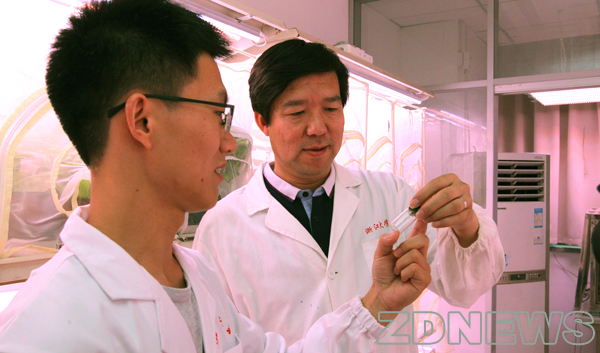 科学家破解新冠致死真相,科学家破解新冠病毒致死真相