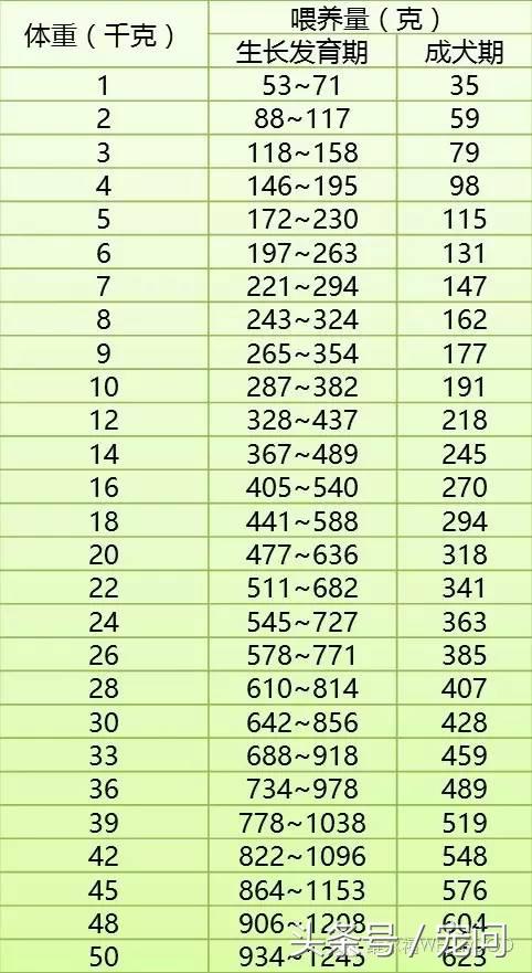 狗贩子让喂20粒狗粮怎么办,为什么卖家说狗只能吃一点点狗粮