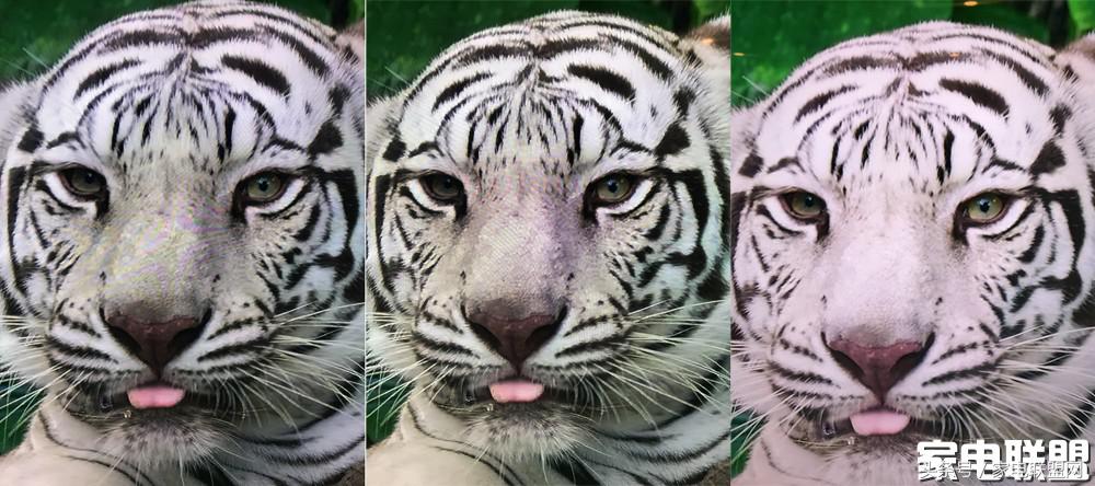 索尼z9d电视怎么样,大师级电视