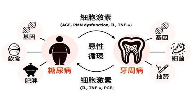 牙周病经久不愈要关注了，你可能是得了糖尿病！