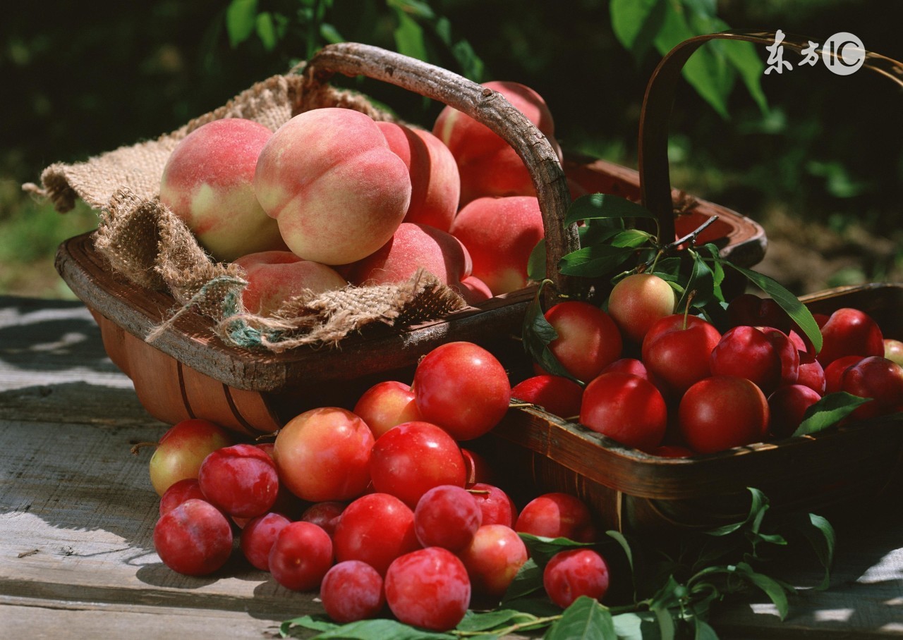 吃榴莲吃晕了,吃榴莲冒痘