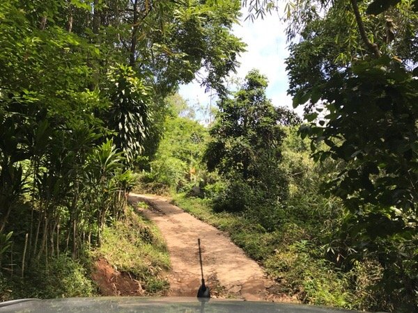 第一次来泰国不知道这5件事,第一次去旅游不知道去哪里好