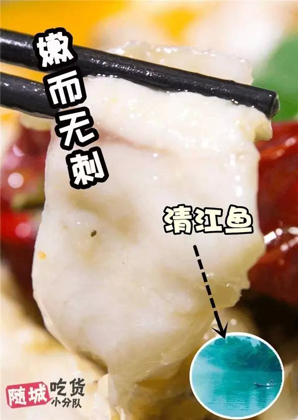 随州主题特色酒店,随州特色美食酒店