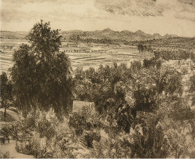 阿尔道夫门采尔素描作品赏析,素描大师门采尔速写