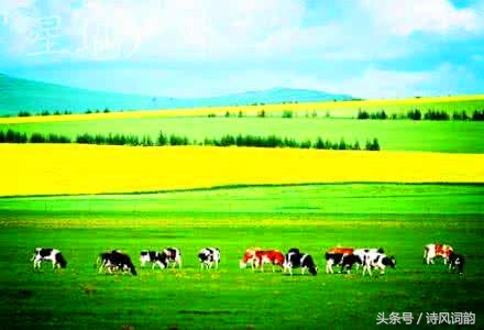 辨别平仄及入声字的简单方法,入声字总表及辨别巧记方法