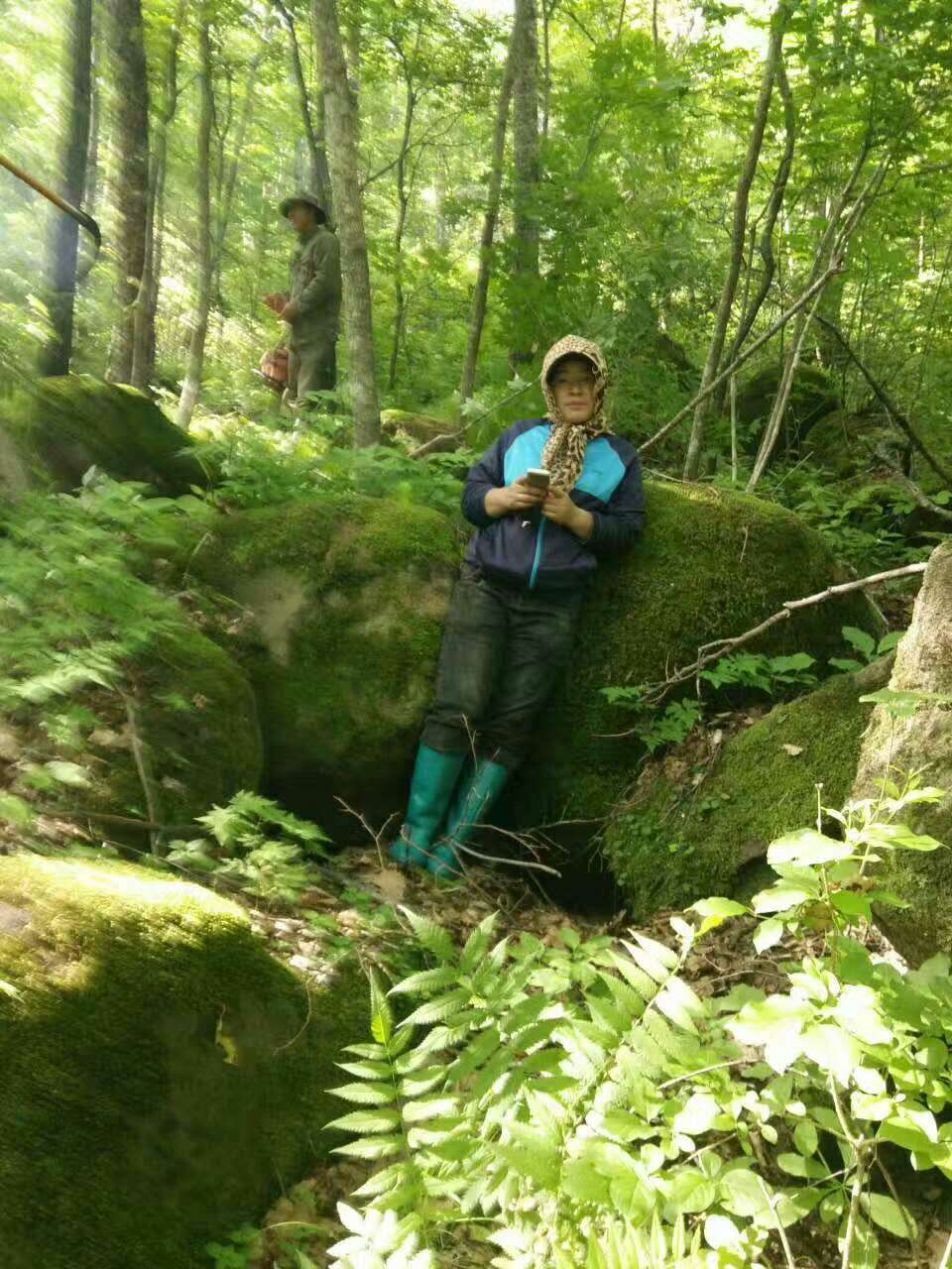 林业职工解雇了怎么办,林业六大工种取消了吗