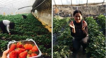 紫塞京津冀13城农家院旅游探店五：金海湖两日悠闲散记山里红农家