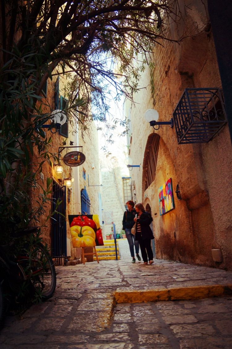 上帝只赐给以色列那么小土地吗 (以色列上帝应许之地)