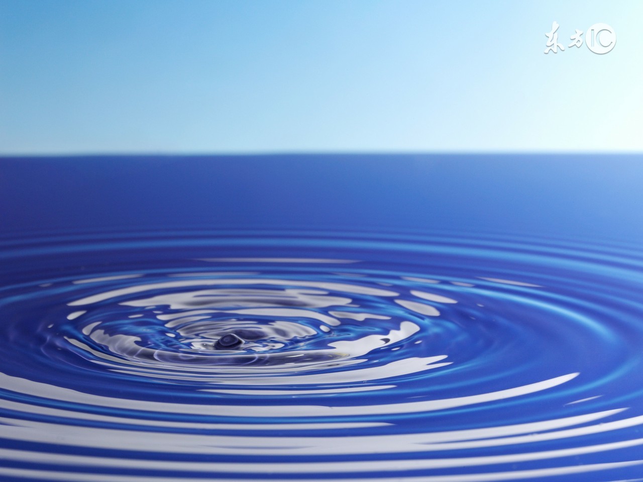 五月的风，心随风动：爱上诗第三期同题获奖作品展播