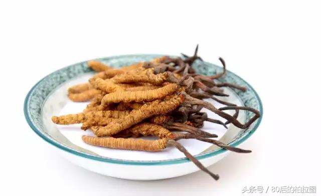 冬虫夏草凭什么这么贵？小编为你解读虫草的故事