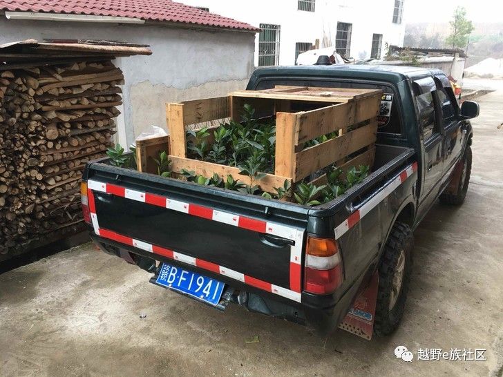 19年的庆铃皮卡,庆铃皮卡值得入手吗