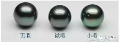 真正的野生珍珠图片,野生珍珠贵吗