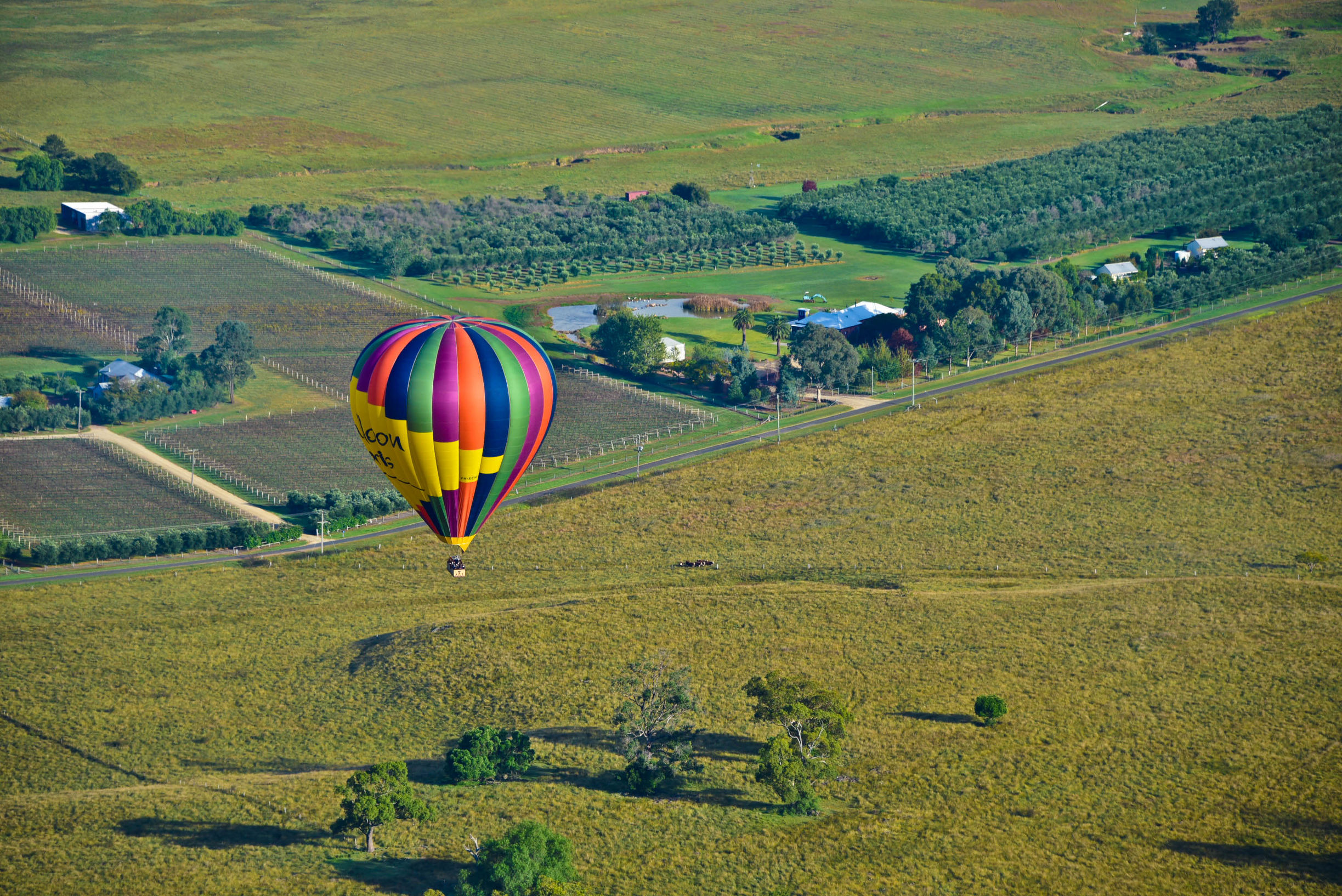 在猎人谷邂逅美酒和热气球
