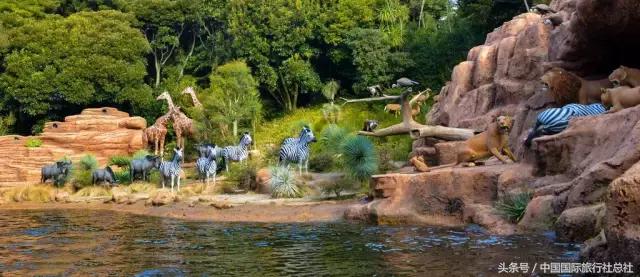 暑假去哪里旅游好玩要刺激的,暑假去哪玩最轻松又好玩