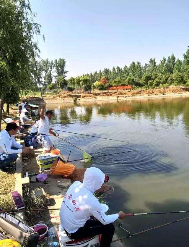 南阳古镇钓鱼比赛冠军,南阳行营钓具