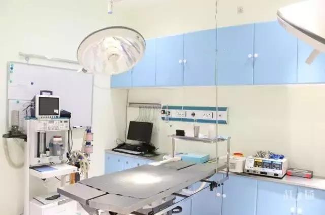 开宠物医院会血本无归吗,不做好准备不要养狗