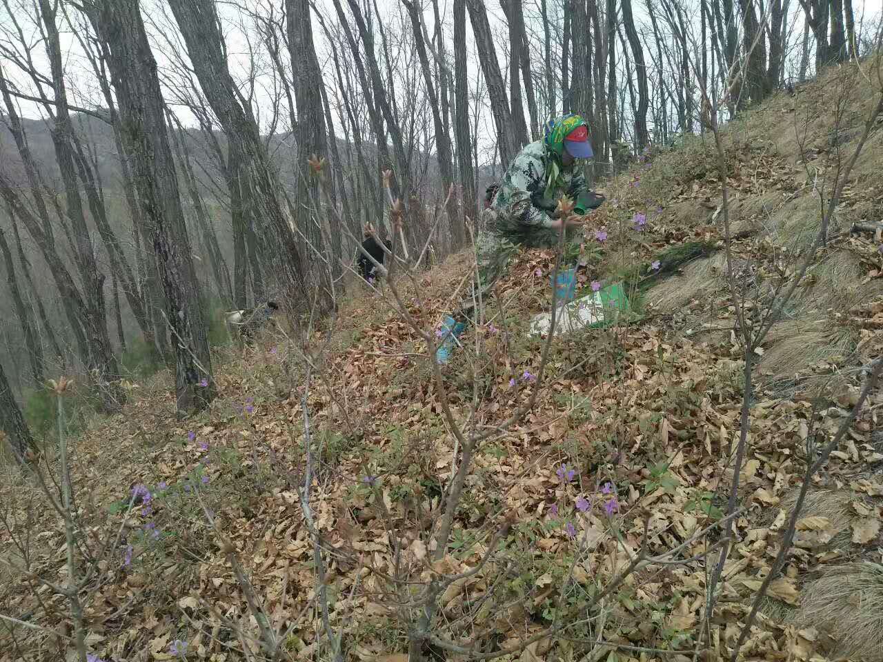 林业职工解雇了怎么办,林业六大工种取消了吗