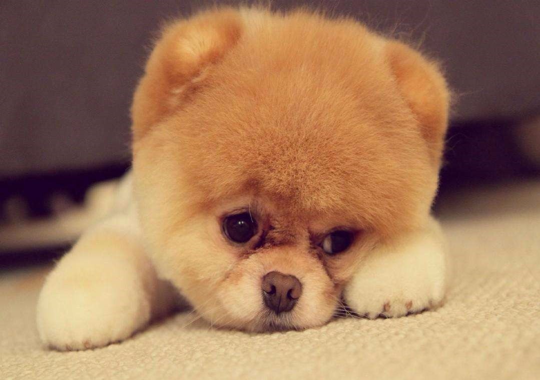 第n次不相爱,到农村卖净水器的骗术要怎样报警