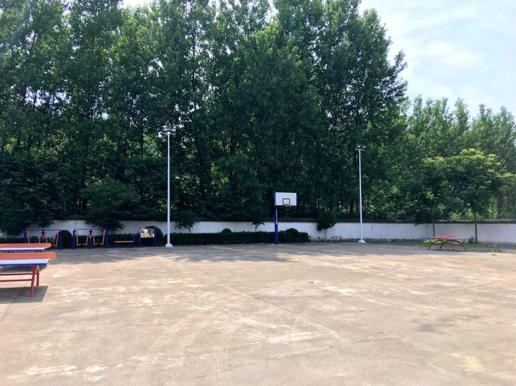 椹绘潙鏃ヨ鑷村姏鑴辫传鏀诲潥,鑴辫传鏀诲潥鏃ヨ