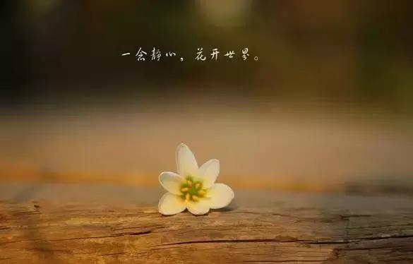 夏天来了为什么感觉浑身没劲,夏天到了一身疲劳怎么办