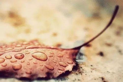 杏花烟雨，有你在，便是最美