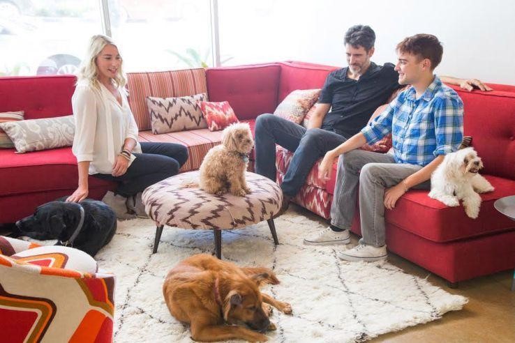 开会不能遛狗？出差在外狗狗怎么办？宠物界Uber与Airbnb帮您搞定爱宠所需！