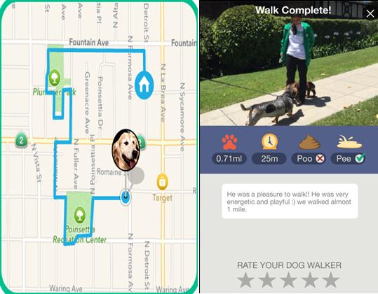 开会不能遛狗？出差在外狗狗怎么办？宠物界Uber与Airbnb帮您搞定爱宠所需！