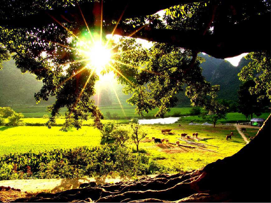 坝美普者黑5日跟团游攻略,坝美普者黑视频