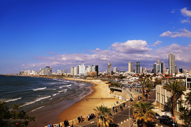 上帝只赐给以色列那么小土地吗 (以色列上帝应许之地)