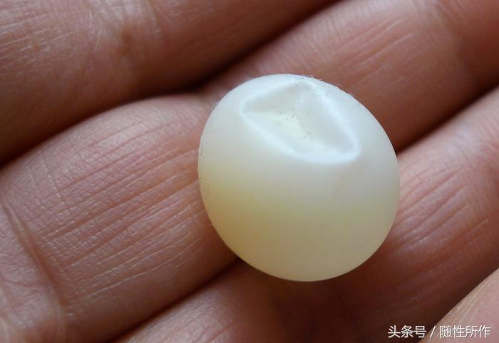 宠物鸟卡蛋,宠物鸟出现问题怎么办