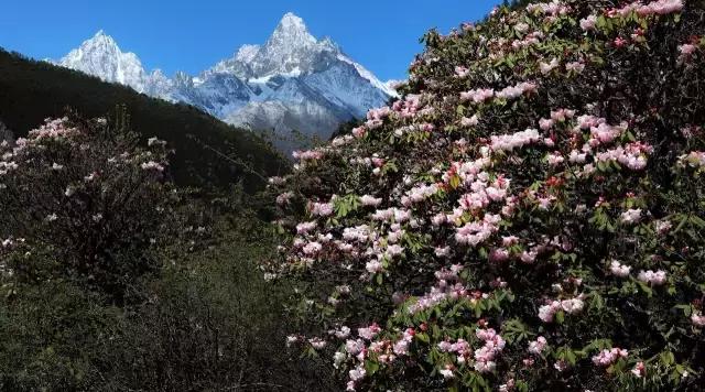 川西最美草原,川西绝美小众秘境草地
