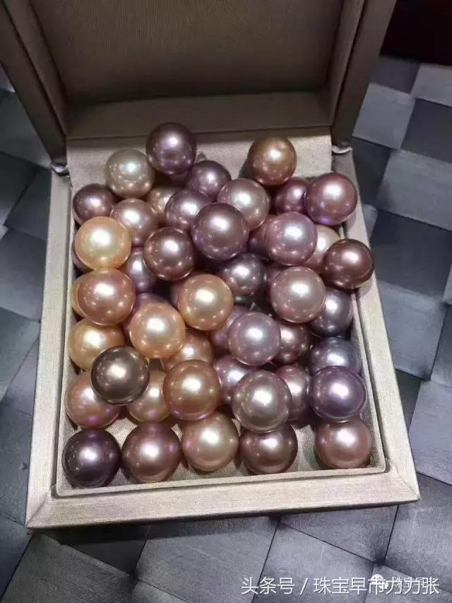 真正的野生珍珠图片,野生珍珠贵吗