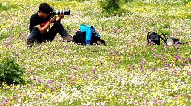 川西最美草原,川西绝美小众秘境草地