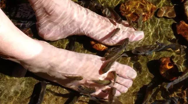 川西最美草原,川西绝美小众秘境草地