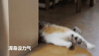 月经期要关注的那些事儿,月经期的症状和怀孕的一样吗