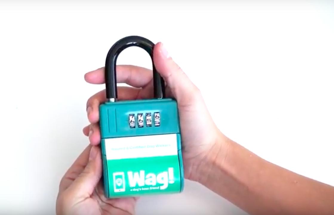 开会不能遛狗？出差在外狗狗怎么办？宠物界Uber与Airbnb帮您搞定爱宠所需！