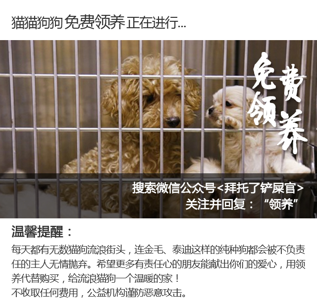 开宠物医院会血本无归吗,不做好准备不要养狗