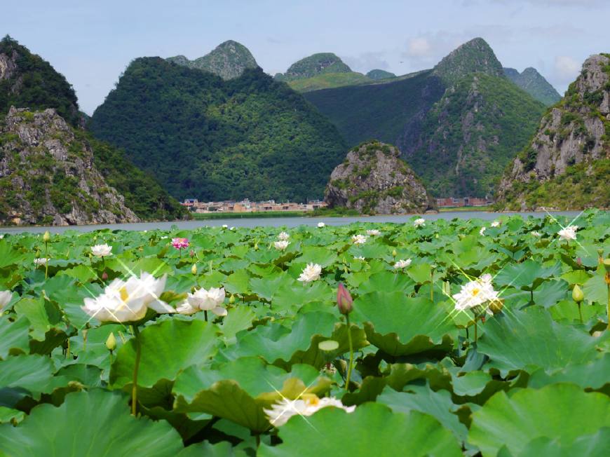 坝美普者黑5日跟团游攻略,坝美普者黑视频