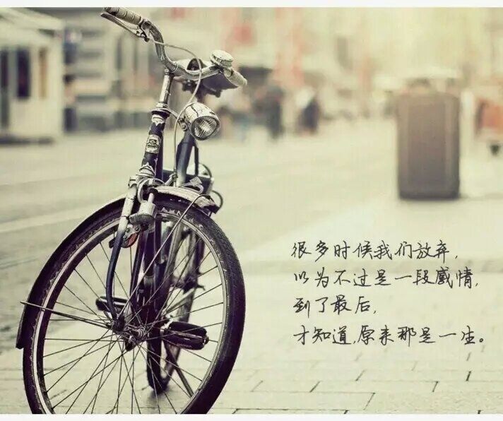 杏花烟雨，有你在，便是最美